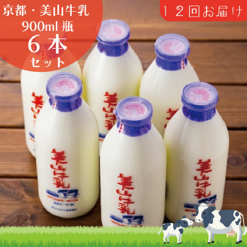 【ふるさと納税】牛乳 定期便 12ヶ月 京都 美山牛乳 瓶 900ml ×6本 セット 美山町 お取り寄せ 定期 お楽しみ 12回 ※北海道・沖縄・離島への発送不可　【定期便・ 南丹市 】