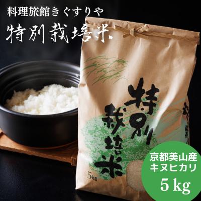 米 料理旅館きぐすりや 特別栽培米 キヌヒカリ 5kg 精米 白米 お米 こめ コメ 減農薬栽培 5 キロ ご飯 ごはん 京都　【 南丹市 】