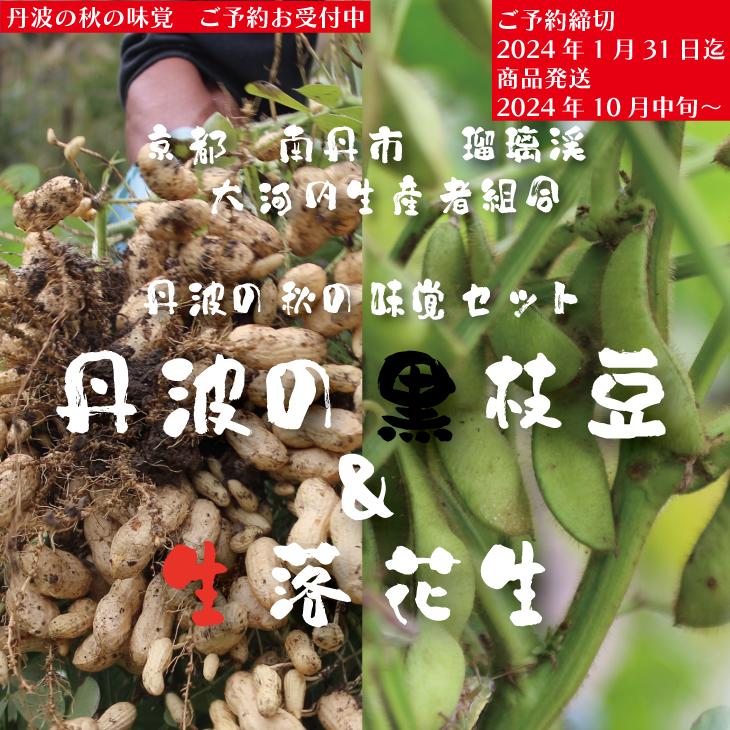 20位! 口コミ数「0件」評価「0」枝豆 京都 2024年 先行予約 黒枝豆 生落花生 るり渓 大河内生産組合発 丹波 野菜 国産 生 落花生 おつまみ えだまめ エダマメ 先･･･ 