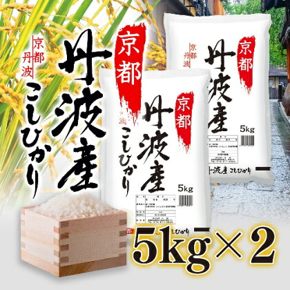 米 京都丹波産 こしひかり 5kg ×2 精米 白米 お米 コメ こめ コシヒカリ 10kg 10キロ 美味しい 食味鑑定士厳選 丹波産 京都　【 南丹市 】