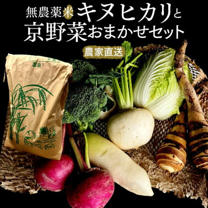 【数量限定販売】こだわり無農薬米キヌヒカリと京野菜おまかせセット　【 お米 ブランド米 銘柄米 精米 白米 京野菜セット 野菜セット 旬の京野菜 旬の野菜 グルメ 】