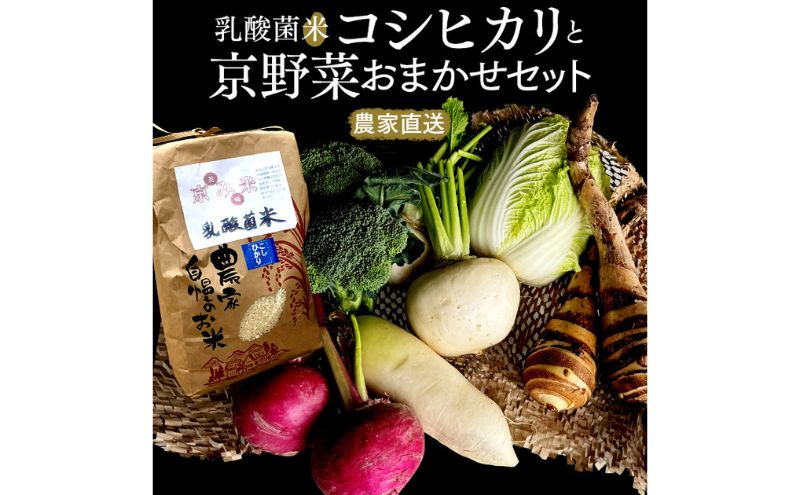 【ふるさと納税】【数量限定販売】乳酸菌米コシヒカリと京野菜おまかせセット　【 お米 ブランド米 銘柄米 精米 白米 京野菜セット 野菜セット 旬の京野菜 旬の野菜 グルメ 】