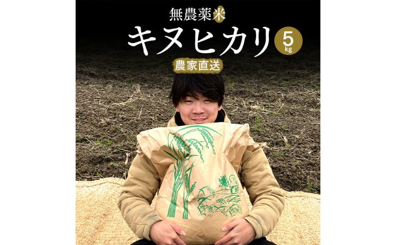 【ふるさと納税】【数量限定】こだわり無農薬米キヌヒカリ5kg　【 お米 白米 ご飯 ブランド米 銘柄米 精米 おにぎり お弁当 和食 産地直送 グルメ 食品 】