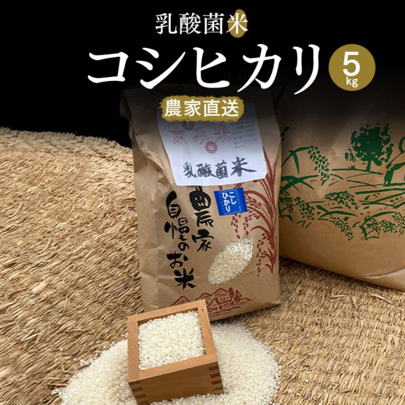 [数量限定]乳酸菌米コシヒカリ5kg [ お米 白米 ご飯 ブランド米 銘柄米 精米 おにぎり お弁当 和食 産地直送 グルメ 食品 ]