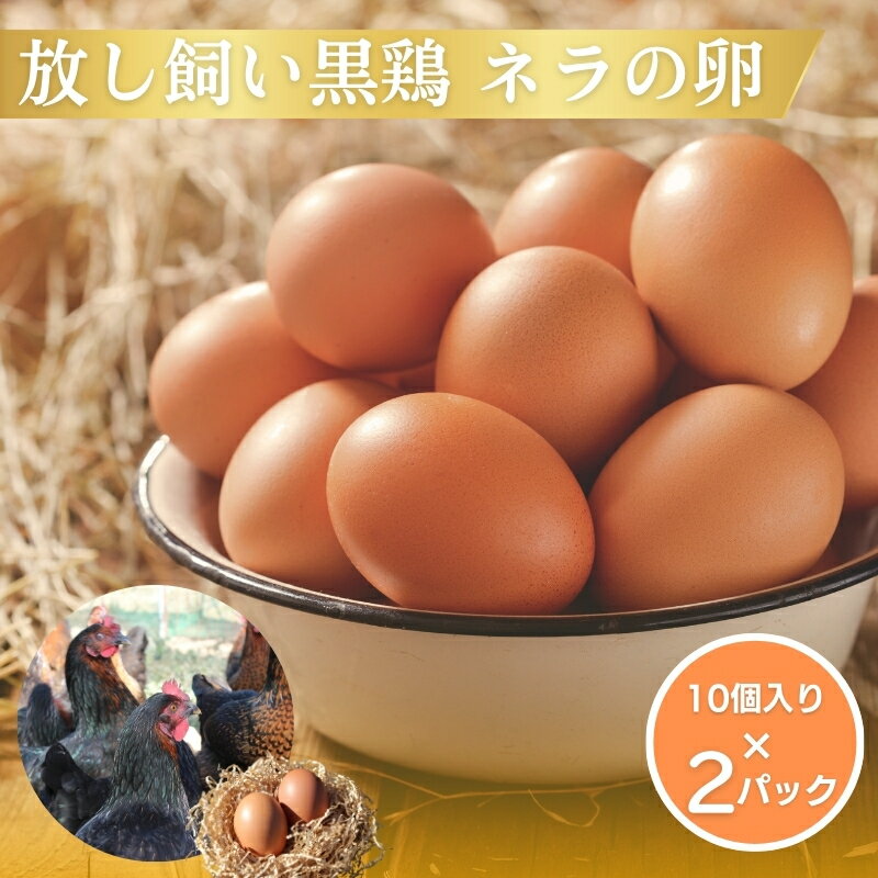 【ふるさと納税】放し飼い 黒鶏 ネラの卵 20個 たまご 卵 鶏卵 玉子 南丹市 京都府