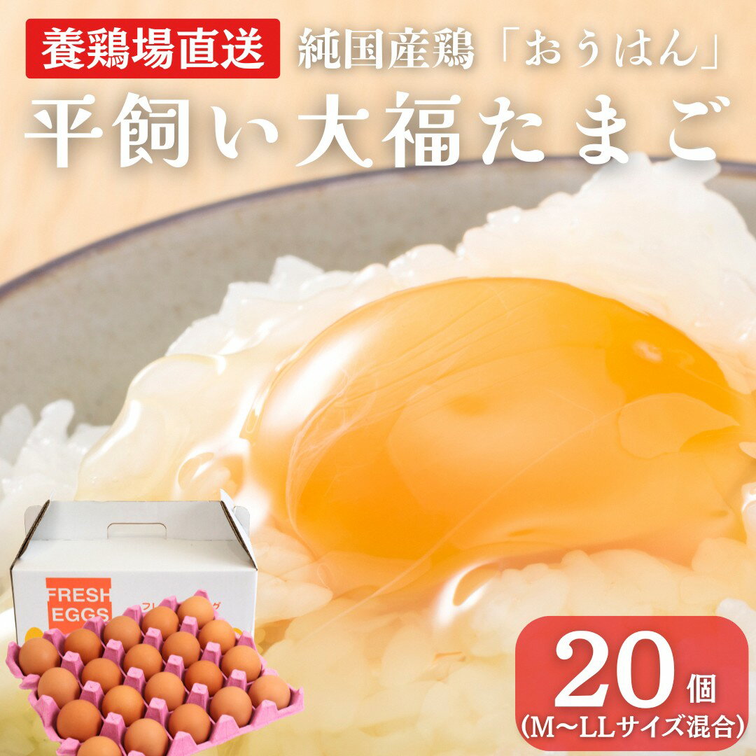 【ふるさと納税】産地直送 大福たまご 20個