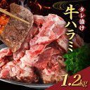 【ふるさと納税】【訳あり】 タレ漬け 牛ハラミ 1.2kg 4P 肉 牛 牛肉 ハラミ 味付け タレ ハラミ肉 BBQ バーベキュー 焼き肉 焼肉 焼肉セット アウトドア キャンプ ギフト 真空 パック 小分け 300g 個包装 簡単 便利 冷凍 人気 京都 南丹市 神戸 ミートフーズ