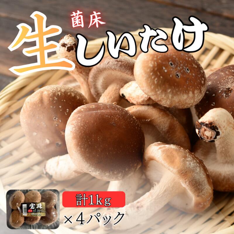 菌床生椎茸「宝珠」 生しいたけ きのこ 1kg 京都府 南丹市