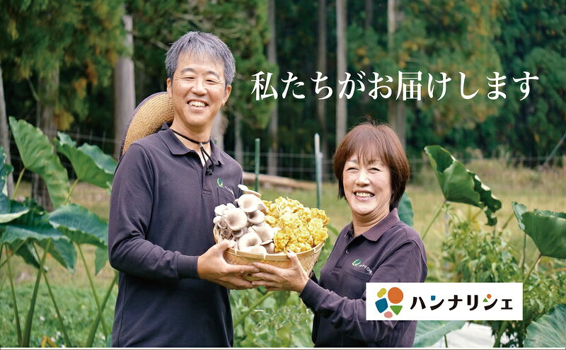 【ふるさと納税】京都府産オーガニック　ヒラタケ（6パック入り約840g）
