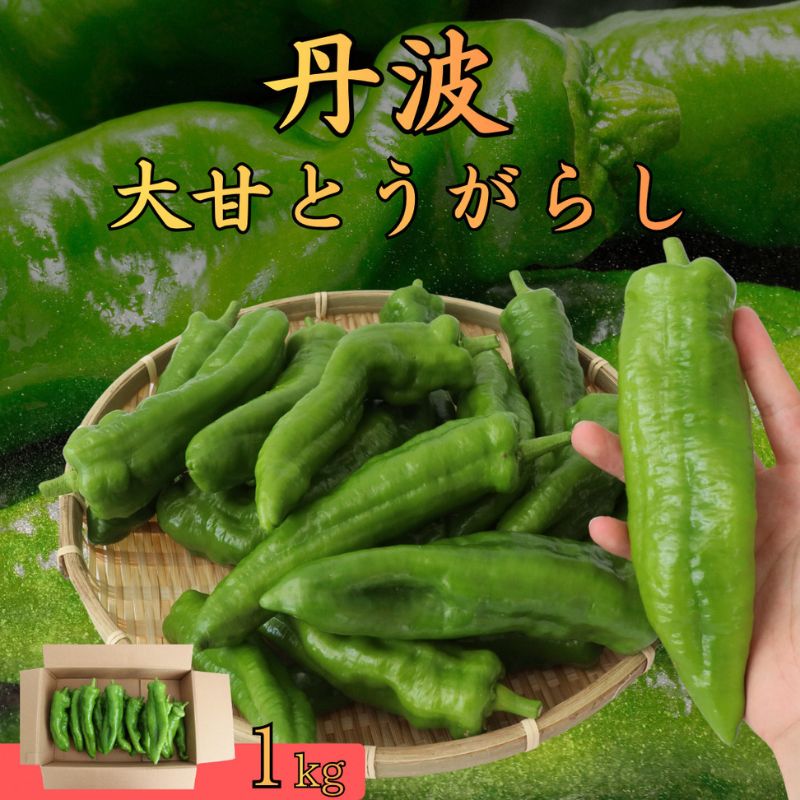 丹波大甘とうがらし 1kg トウガラシ 唐辛子 野菜 京都府産 南丹市 お届け:2026年7月上旬〜10月末