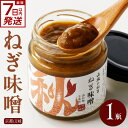 【ふるさと納税】 スピード発送あり!!京都山城 のねぎで作った ねぎ味噌 100g 京野菜 調味料 薬味 手軽 秋田農園