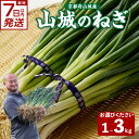 【ふるさと納税】 スピード発送あり!! 山城のねぎ 選べる内容量 (1kg・2kg・3kg) 京野菜 ねぎ 秋田農園
