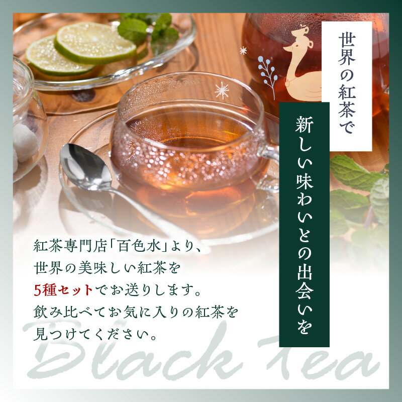 【ふるさと納税】 世界の美味しい紅茶5種セット 選べる回数（単品・2回・3回・6回・12回） フレーバーティー 紅茶 産地茶葉 飲みやすい お茶と旅する喫茶店 百色水 もいろみ