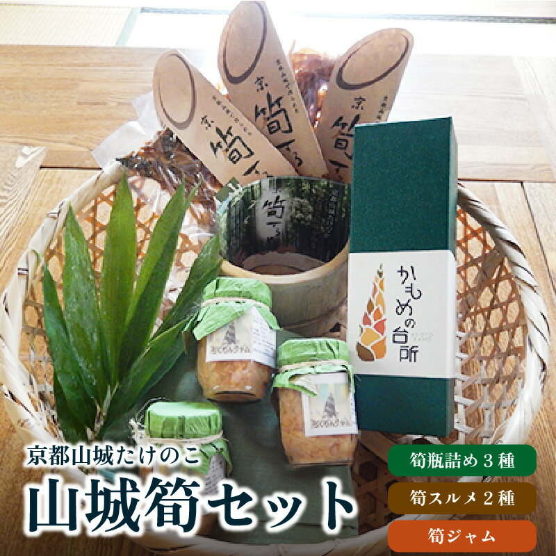 【ふるさと納税】山城筍セット 筍 珍しい逸品 ジャム 甘い 食感 トースト するめ 手作り 美味しい 詰合せ 特産品 山城筍 ご飯のお供 調味料 かもめの台所