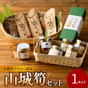 【ふるさと納税】 山城筍セット 筍 珍しい逸品 ジャム 甘い 食感 トースト するめ 手作り 美味しい 詰合せ 特産品 山城筍 ご飯のお供 調味料 かもめの台所 《レビューキャンペーン》