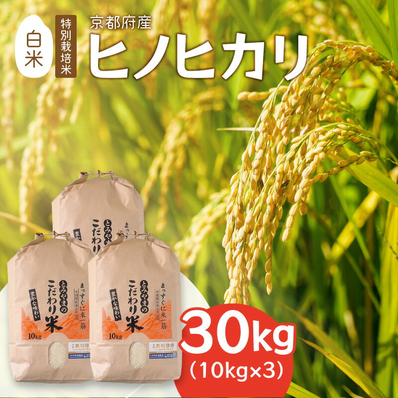 【ふるさと納税】＜白米(特別栽培米)＞京都府産 ヒノヒカリ30kg...