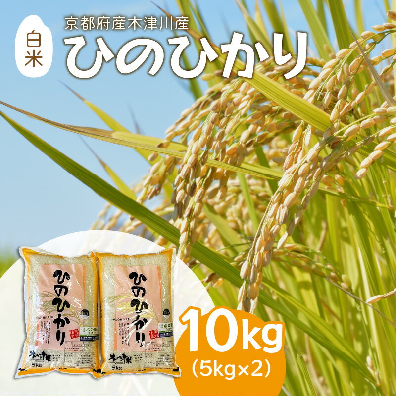 【ふるさと納税】＜白米＞京都府産木津川産 ひのひかり 10kg (木の津米)...