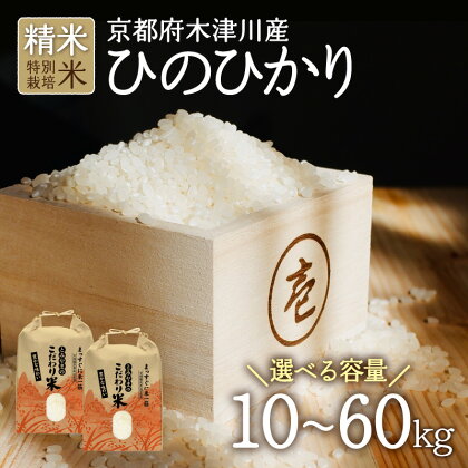 令和5年産 京都府木津川市産 ひのひかり 選べる内容量（10kg～60kg） 特別栽培米 精米 ヒノヒカリ 米 こめ コメ ご飯 ごはん 2023年 安心 安全 京都米 国産 送料無料