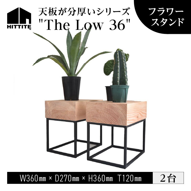 HITTITE の天板が分厚いシリーズ "The Low 36" フラワースタンド 2台 植物 台 おしゃれ かわいい ヒッタイト