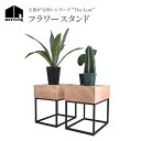 【ふるさと納税】《レビューキャンペーン》 HITTITE の天板が分厚いシリーズ "The Low 36" フラワースタンド 2台 植物 台 おしゃれ かわいい ヒッタイト