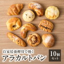 【ふるさと納税】《レビューキャンペーン》多種類のパンを楽しめる!パン好きにオススメの店主厳選アラカルトパン10点セット パン 自家培養酵母 厳選 10個 個別包...