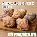 【ふるさと納税】クロワッサンオザマンド5種セット 選べる単品!または定期便(2回・3回・6回・12回)自家培養酵母 100% 国産 小麦 ザクザク しっとり よつ葉バター バターの旨味 おやつ 京都 こだわり冷凍 パン好き パンセット