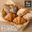 【ふるさと納税】クロワッサン食べ比べ3種セット(クロワッサン2個・クロワッサンオザマンド2個・ショコラ・オザマンド2個) 自家培養酵母 100% 国産 小麦 ザ...