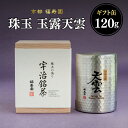 【ふるさと納税】 珠玉 玉露天雲 120g缶 京都 宇治茶 玉露 茶葉 京都 福寿園 《レビューキャンペーン》