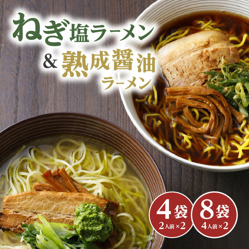 【ふるさと納税】＜京都府産　ねぎ使用＞熟成醤油ラーメン＆木津川ねぎ塩ラーメン（各2～4人前） リストランテ ナカモト 仲本食堂