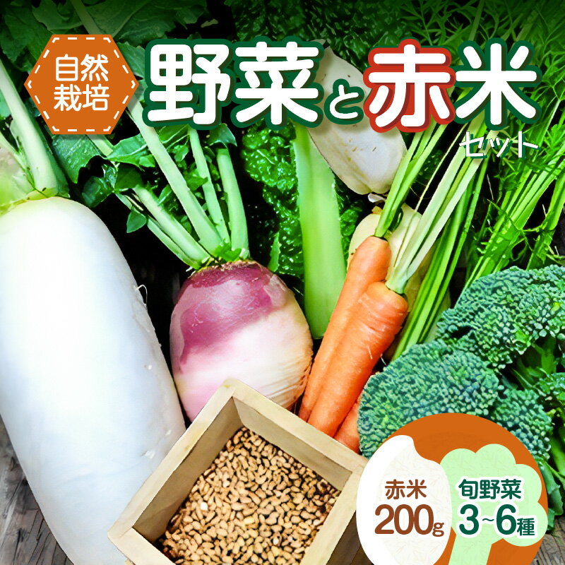 ＜京都産＞野菜と赤米のセット 旬の野菜 3～6種類 玄米