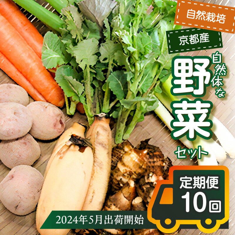 【ふるさと納税】＜京都産野菜定期便10回＞自然体な野菜セット～2024年5月出荷開始～