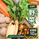 【ふるさと納税】＜京都産野菜定期便10回＞自然体な野菜セット～2024年5月出荷開始～