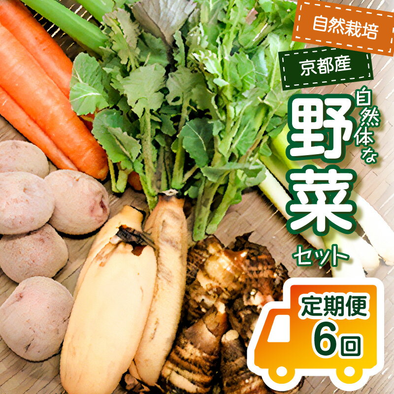 7位! 口コミ数「0件」評価「0」＜京都産野菜定期便6回＞自然体な野菜セット