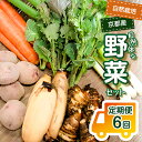 【ふるさと納税】＜京都産野菜定期便6回＞自然体な野菜セット