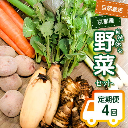 ＜京都産野菜定期便4回＞自然体な野菜セット