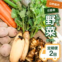 4位! 口コミ数「0件」評価「0」＜京都産野菜定期便2回＞自然体な野菜セット