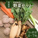 【ふるさと納税】＜京都産＞自然体な野菜セット 旬の野菜 4〜7種類 無農薬