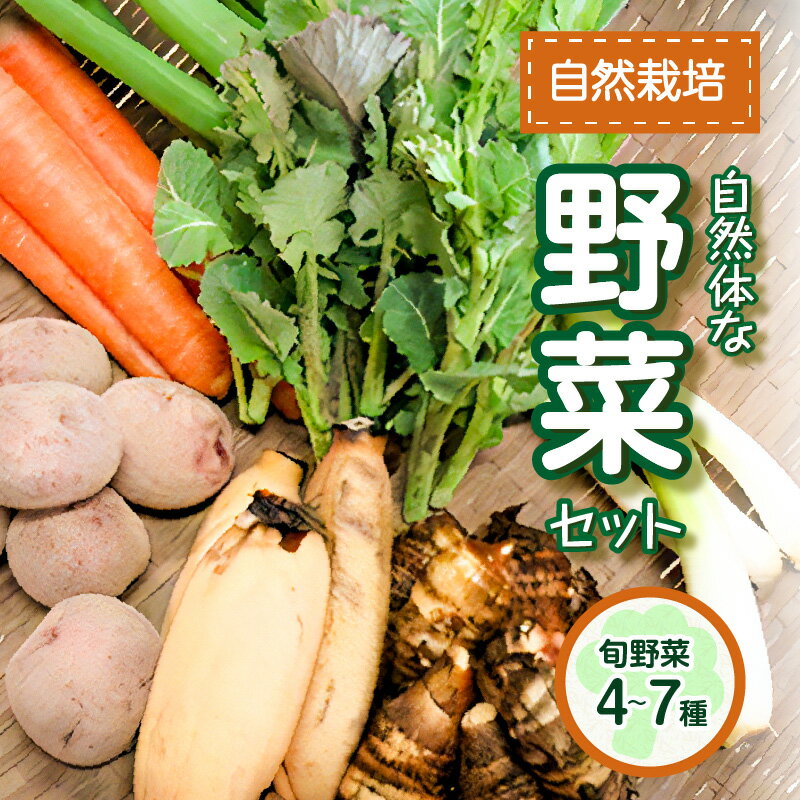 ＜京都産＞自然体な野菜セット 旬の野菜 4～7種類