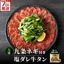 【ふるさと納税】 スピード発送!!塩ダレ牛タン 大盛九条ネギ 選べる種類・内容量 (250g・500g・750g) 選べる定期便 (500g×3回・6回・12回) 牛タン 京都九条ネギ 小分け 冷凍 真空パック 薄切りスライス BBQ 京都 牛たん 牛タン塩 《レビューキャンペーン》