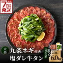 1位! 口コミ数「62件」評価「4.61」 スピード発送!!塩ダレ牛タン 大盛九条ネギ 選べる内容量 (250g・500g・750g) 選べる定期便 (500g×3回・6回・12回) 牛タン セット 牛肉 京都九条ネギ 小分け 冷凍 真空パッ・・・