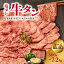 ֡ڤդ뤵Ǽǡۡͥ۱ ٤̡300g600g900g ٤ء600g3612  å ؾ  Զͥ  ʬ  ѥå   ڤꥹ饤 BBQ  󥹥饤 פ򸫤