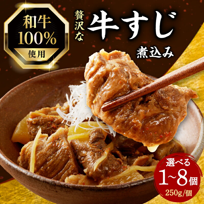 【ふるさと納税】お試し1個のみ スピード発送！！ 和牛100％の贅沢なすじ煮込み 250g 選べる個数（1〜8個） 《レビューキャンペーン》牛すじ 国産 すじ すじ煮込 おつまみ 大根 牛すじ煮込み すじ煮込み 和牛 牛肉 惣菜のサムネイル