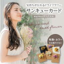 【ふるさと納税】《レビューキャンペーン》気持ちが伝わるドライフラワー サンキューカード 選べるカラー(ピンク・ホワイト・イエロー・おまかせ)選べる枚数(1~5枚)