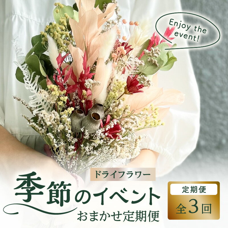 ڤդ뤵Ǽǡۥɥ饤ե Υ٥ءڤϥ󡦥ꥹޥۡ3