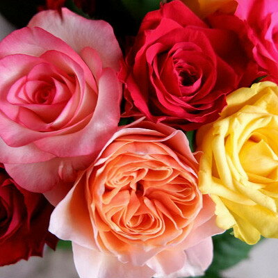 京都府大山崎町の画像2