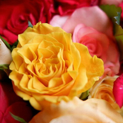 京都府大山崎町の画像2