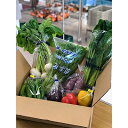 【ふるさと納税】季節の京都府久御山野菜詰合せ【配送不可地域:離島・北海道・沖縄県】【1097548】