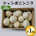 【ふるさと納税】ジャンボニンニク 約1kg【1240619】