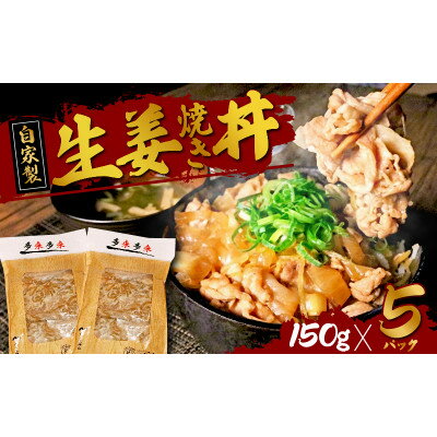 自家製生姜焼き丼の具150g×5食分【配送不可地域：離島】【1491474】