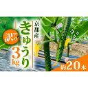 【ふるさと納税】【訳アリ】きゅうり 3kg 京都府 野菜【1568062】